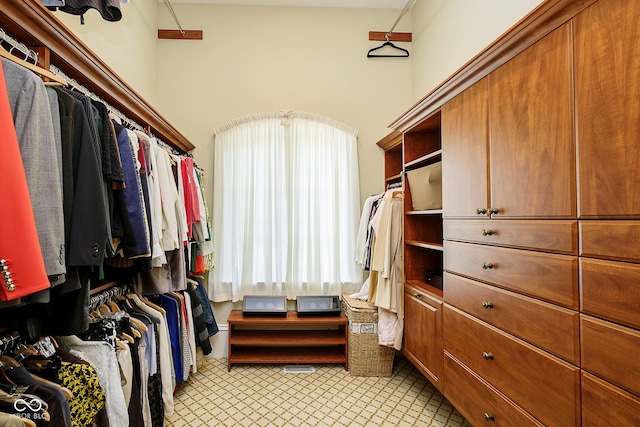 view of spacious closet