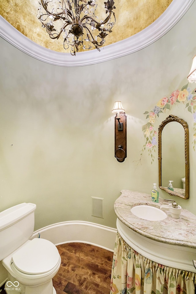 bathroom with hardwood / wood-style flooring, vanity, and toilet