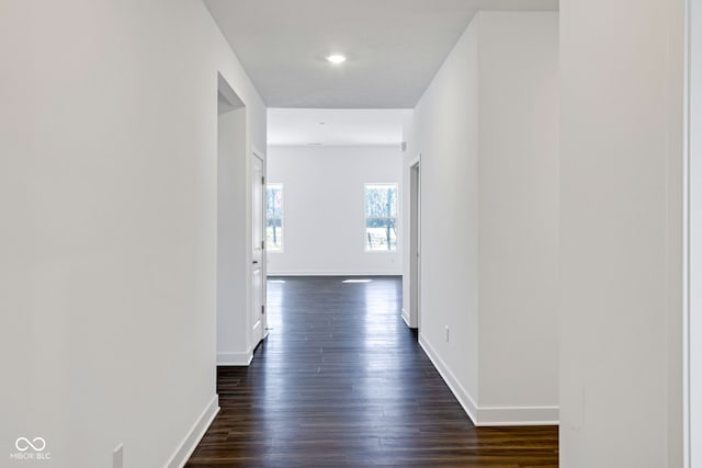 corridor with dark hardwood / wood-style flooring