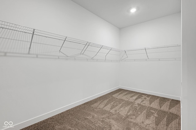 walk in closet with carpet floors