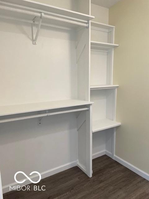 spacious closet with dark wood-type flooring