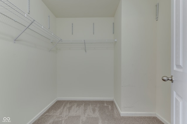 walk in closet featuring light colored carpet