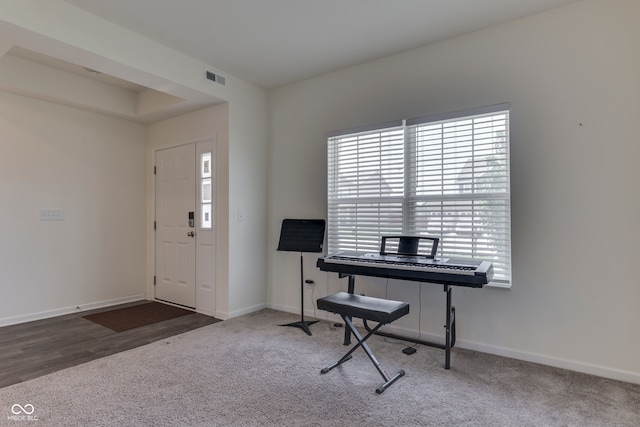 foyer entrance with carpet flooring