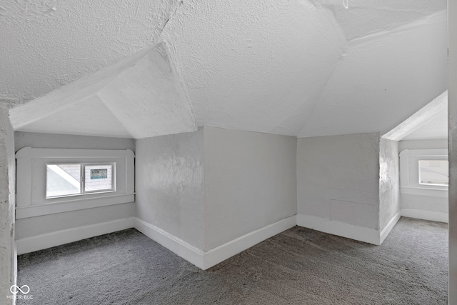 additional living space with carpet, a textured ceiling, baseboards, and lofted ceiling