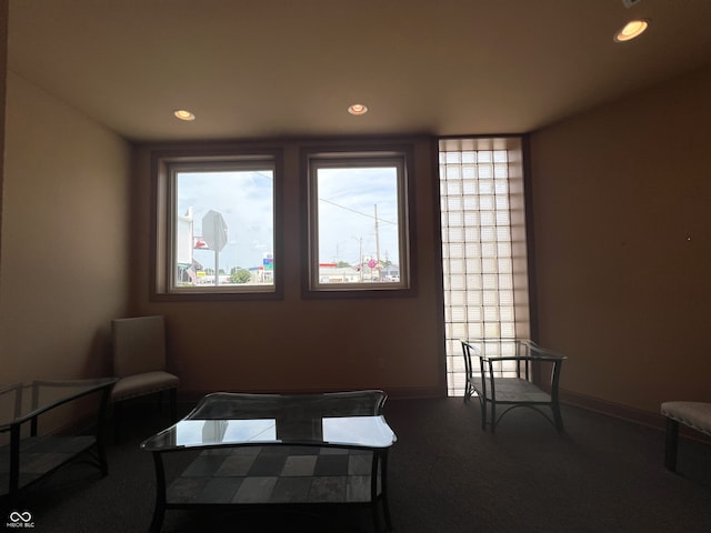 carpeted living room featuring a wealth of natural light