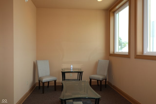 sitting room with carpet flooring