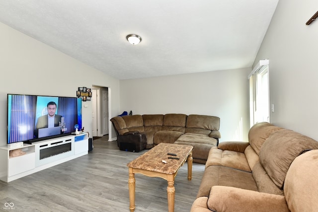 living room with vaulted ceiling and wood-type flooring