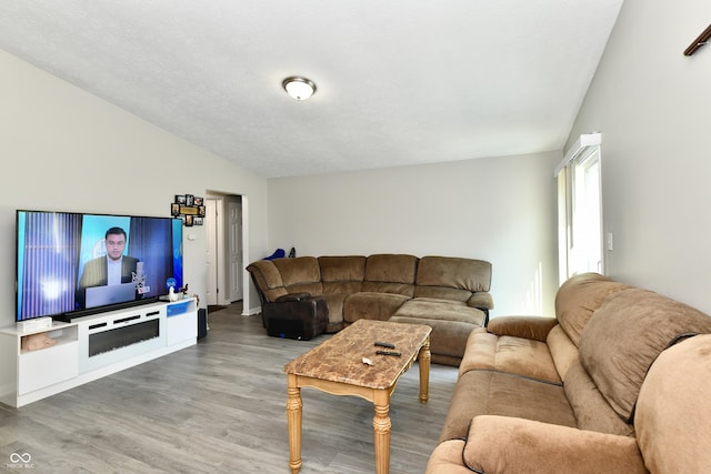 living area featuring vaulted ceiling and wood finished floors