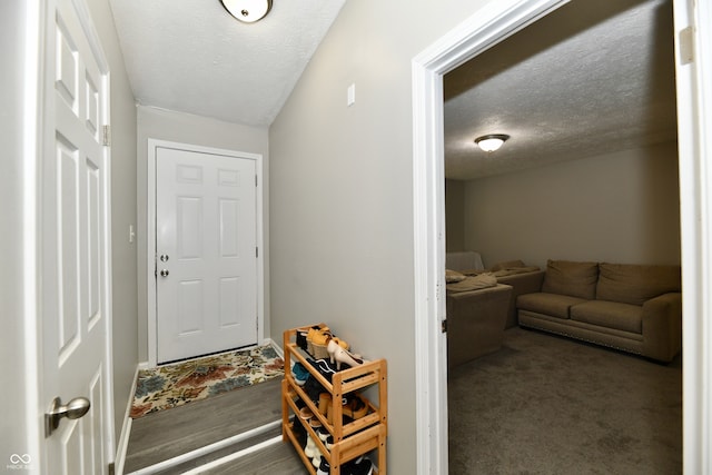 carpeted entryway with a textured ceiling