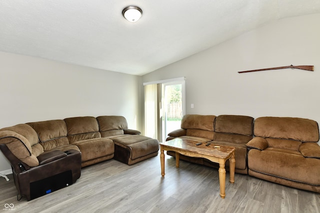 living room with vaulted ceiling and light wood finished floors