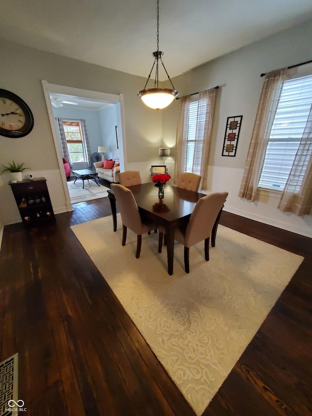 dining room with dark hardwood / wood-style flooring