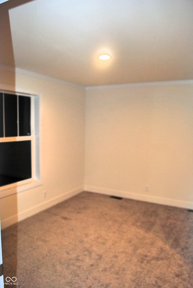 unfurnished room with carpet flooring