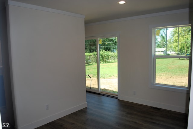 spare room with dark hardwood / wood-style flooring and a healthy amount of sunlight