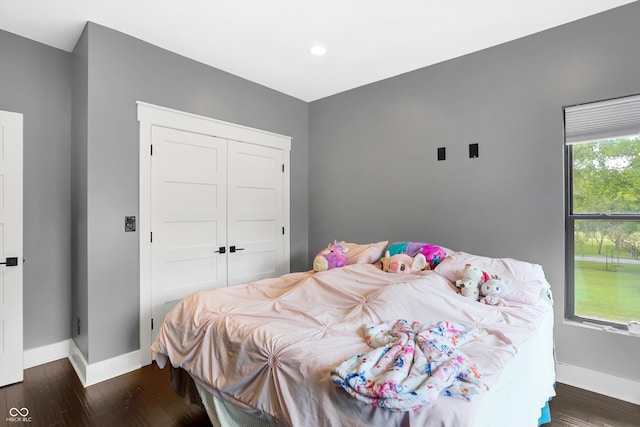 bedroom with wood-type flooring and a closet