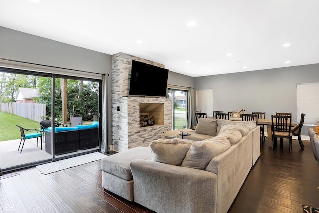 living room with a stone fireplace and wood-type flooring