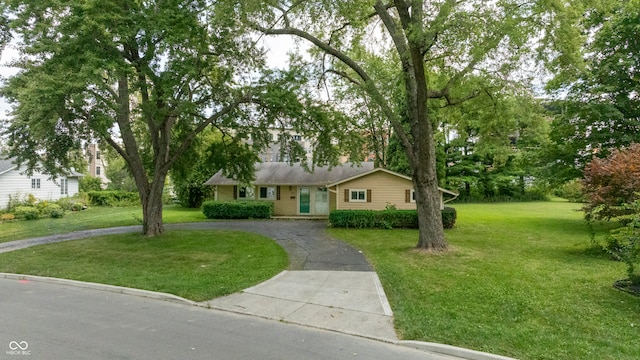 ranch-style home with a front lawn