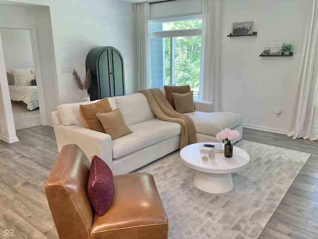 living room with baseboards and wood finished floors