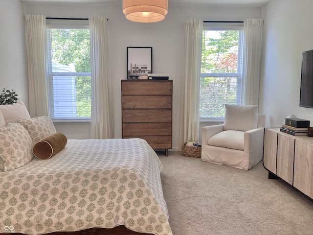 bedroom with multiple windows and light colored carpet