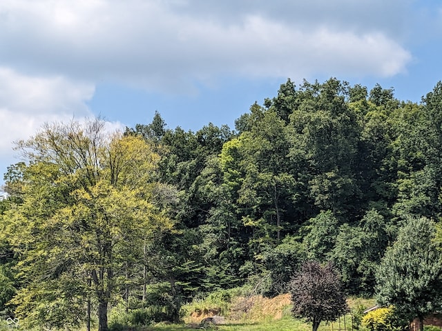 view of local wilderness