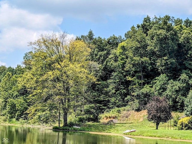 water view featuring a wooded view