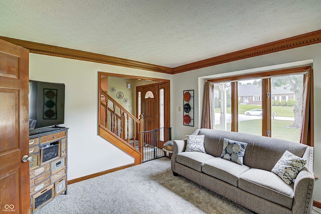 carpeted living room with crown molding and a textured ceiling