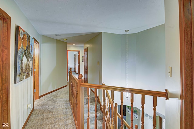 hallway with carpet flooring and a textured ceiling