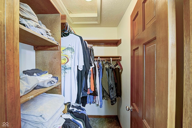 walk in closet with carpet flooring