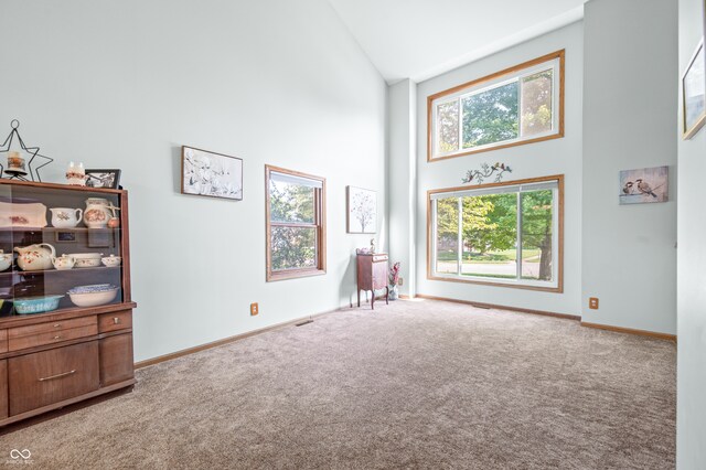 miscellaneous room with high vaulted ceiling and carpet