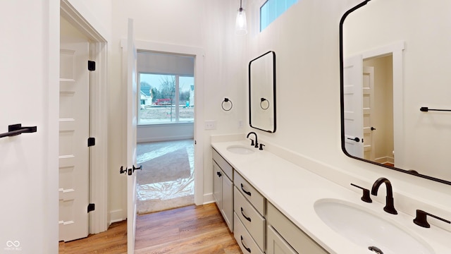 bathroom with wood-type flooring and vanity