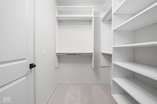 walk in closet with carpet floors