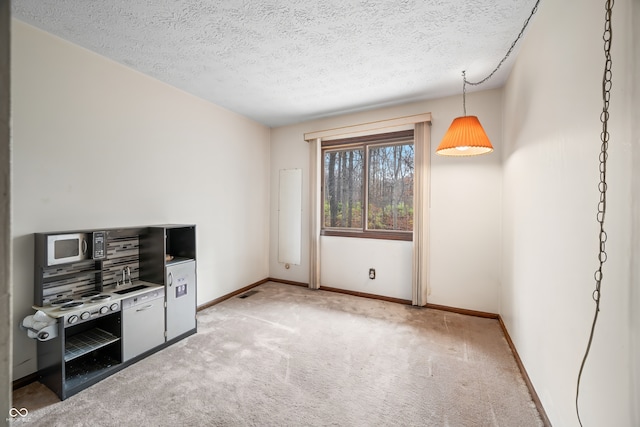 interior space with carpet flooring and a textured ceiling