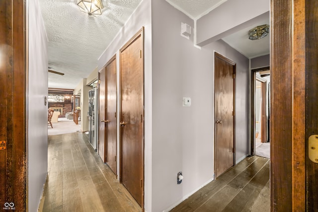 hallway featuring crown molding, a textured ceiling, and dark wood-type flooring