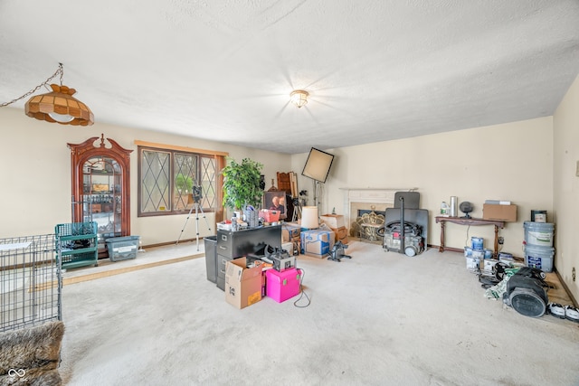 interior space with carpet and a textured ceiling