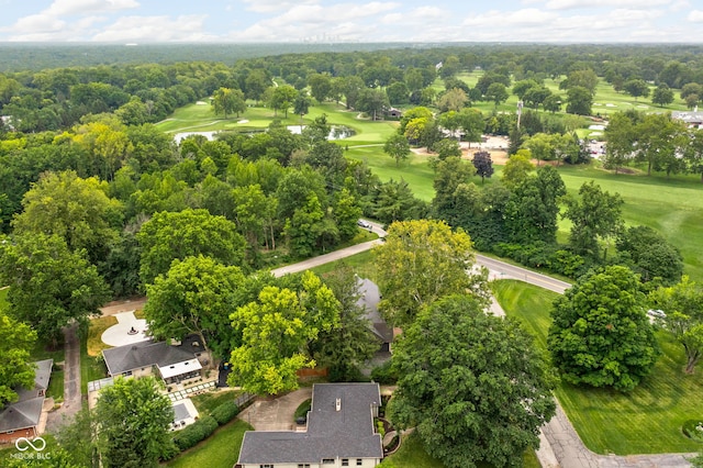 bird's eye view