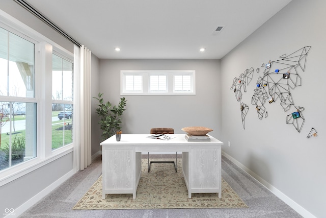 carpeted office featuring a wealth of natural light