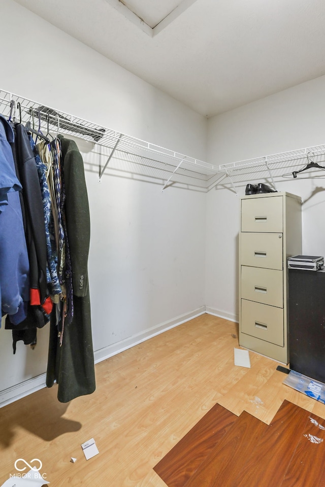 spacious closet with light wood-type flooring