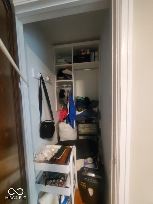 view of closet