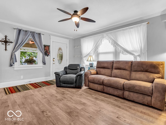 living room with ceiling fan, crown molding, and light hardwood / wood-style flooring