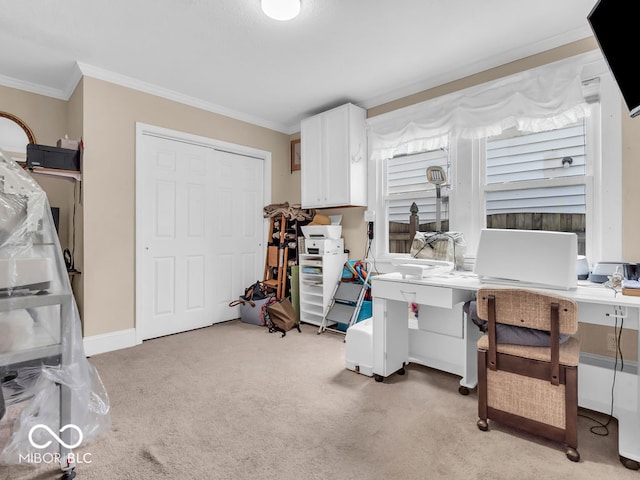 carpeted home office with crown molding