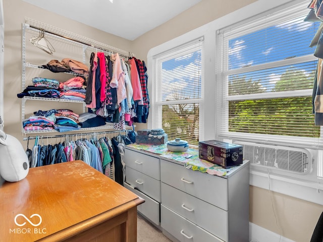 view of walk in closet