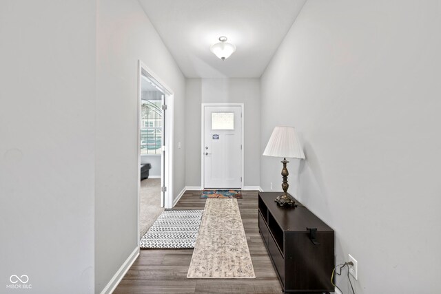 doorway to outside with dark wood-type flooring