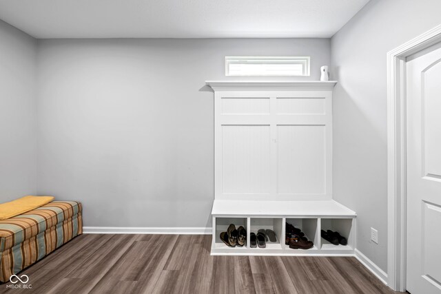 mudroom with wood-type flooring