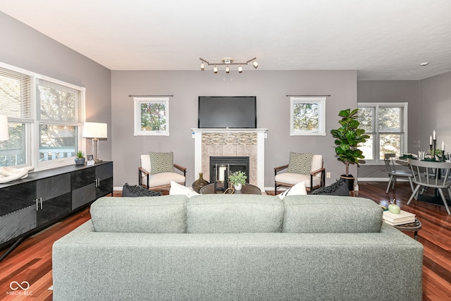 living room with a tile fireplace and dark hardwood / wood-style flooring