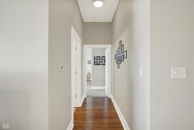 hallway featuring dark wood-type flooring