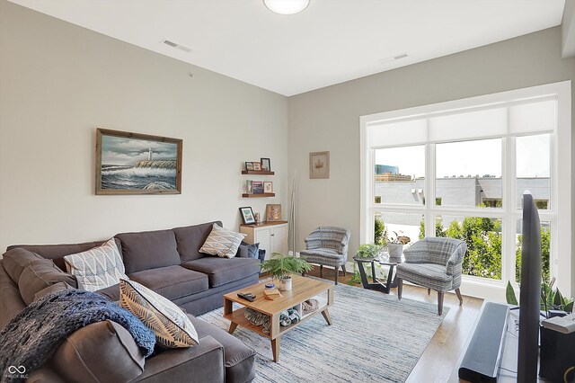 living room featuring wood-type flooring