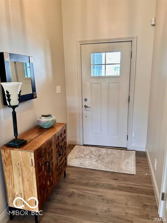 entryway with dark hardwood / wood-style flooring