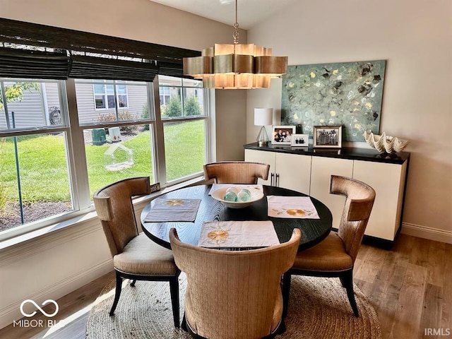 dining space with a wealth of natural light and hardwood / wood-style flooring