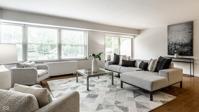 living room featuring hardwood / wood-style flooring