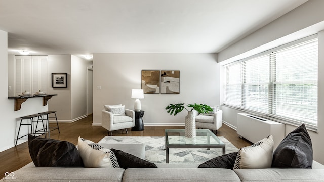 living room featuring dark hardwood / wood-style flooring and radiator heating unit