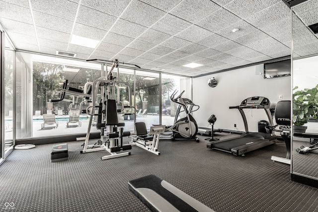 gym featuring a wall of windows, carpet flooring, and plenty of natural light